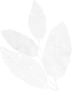 CMS