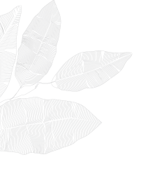CMS